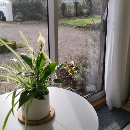 Apartment Nature *