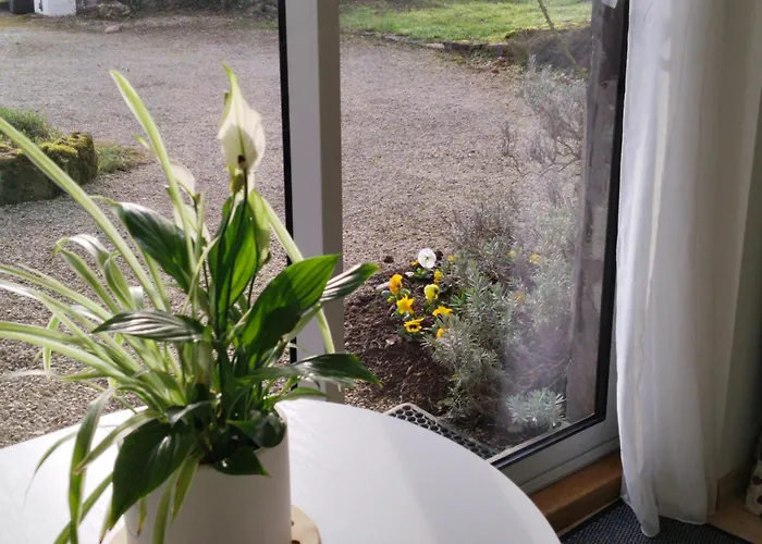 Apartment Nature *
