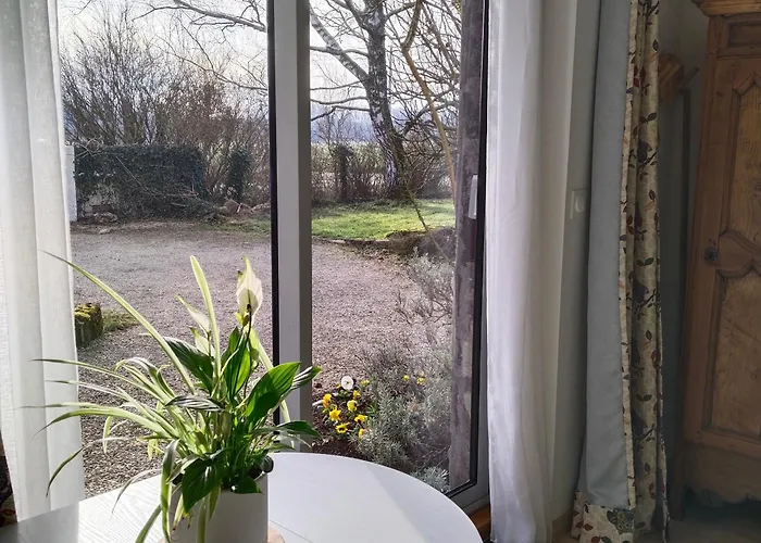 Nature Apartment